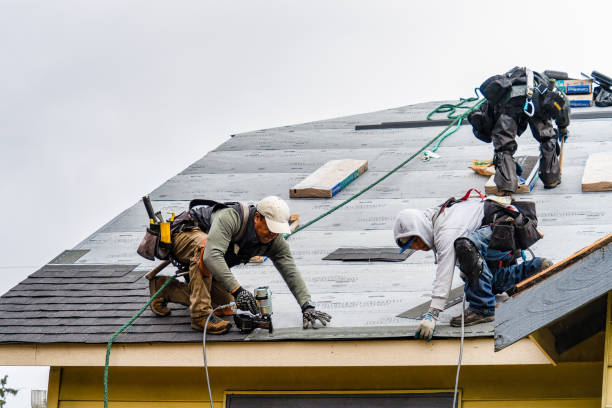 Professional Gutter Installation technician working in Wisner, NE